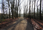 Havezathe Herinckhave